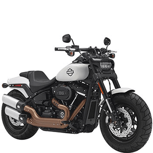 HARLEY-DAVIDSON SOFTAIL FAT BOB (114 CUI)