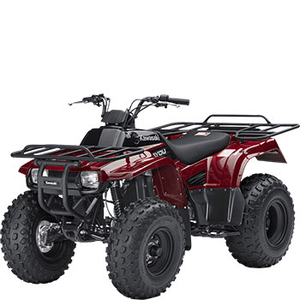 KAWASAKI KLF 250 BAYOU
