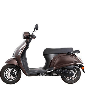 MOTOWELL ELENOR 50 (4-TAKT)