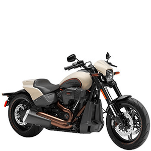 HARLEY-DAVIDSON SOFTAIL FXDR (DESTROYER) 114 CUI