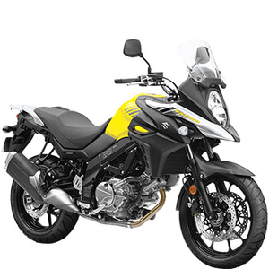 SUZUKI DL 650 V-STROM (EURO 4)