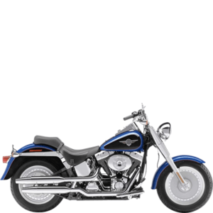 HARLEY-DAVIDSON FAT BOY INJECTION (TWIN CAM)