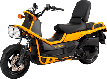 HONDA PS 250 BIG RUCKUS
