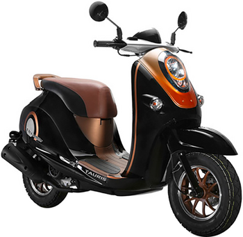 TAURIS PICCADILLY 50 (4-TAKTER)