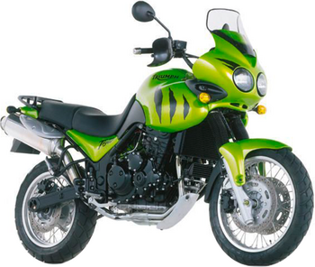 TRIUMPH TIGER 900