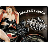 TIN-SIGN H-D *AMERICAN