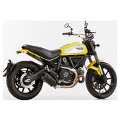 ENDSCHALLD. SHARK DSX-10