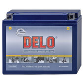 DELO GEL BATTERY