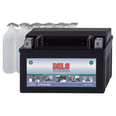 DELO MICROVLIES-ACCU