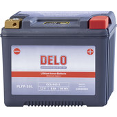 DELO LITHIUM-ION BATTERY