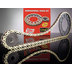 REGINA CHAIN-KIT CHAIN+PINION+SPROCKET