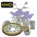 KETTENSATZ FUER QUAD/ATV KETTEN+RITZEL+KETTENRAD