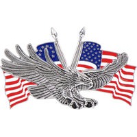 EAGLE WITH US-FLAG