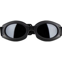 FOSPAIC GOGGLE