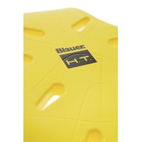 BLAUER BACK PROTECTOR