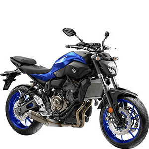 Teile Daten Yamaha Mt 07 Moto Cage Euro 4 Louis Motorrad
