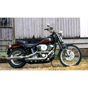 harley bad boy